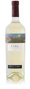 Michel Torino CUMA Organic Torrontés 2013